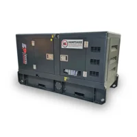Excel Power XL-DYN-16S 15kVA Single Phase Diesel Generator Rental